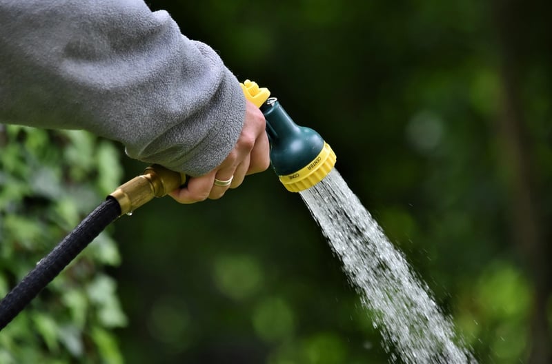 Bamboo Watering Can